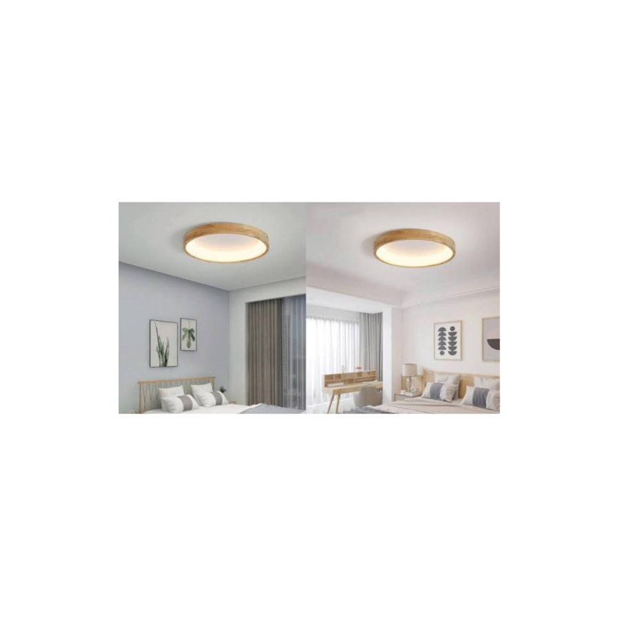Ceiling Mount