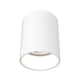 DALS Lighting - 5in cylinder flushmount - SKU CYL05-CC-WH