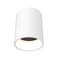 DALS Lighting - 5in cylinder flushmount - SKU CYL05-CC-WH