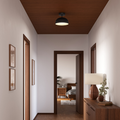 DALS Lighting - 12in fixture - 2in1 Pendant and Flush mount Napa - Black - SKU NAPF12-CC-UNV-BK
