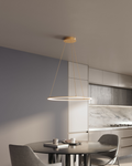 DALS Lighting - 24in Circle pendant, 5CCT - SKU RGPD24-CC-BK