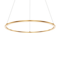 DALS Lighting - 24in Circle pendant, 5CCT - SKU RGPD24-CC-GD
