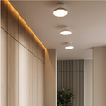 DALS Lighting - 21in trimless 2in1 with stems, 5CCT, 120-347v, 0-10v/Triac - Black - SKU TLPF21-CC-UNV-BK