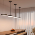 DALS Lighting - 21in trimless 2in1 with stems, 5CCT, 120-347v, 0-10v/Triac - Black - SKU TLPF21-CC-UNV-BK