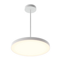 DALS Lighting - 21in trimless 2in1 with stems, 5CCT, 120-347v, 0-10v/Triac - White - SKU TLPF21-CC-UNV-WH